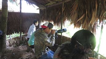 Amazonian Oropendola & tambopata