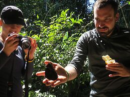 Amazonian Oropendola & tambopata