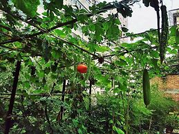 Xi'an The Facebook Youth Hostel