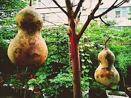 Xi'an The Facebook Youth Hostel