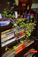 Xi'an The Facebook Youth Hostel