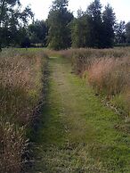 Buntes Moor