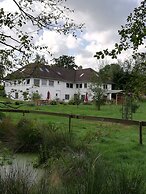 Buntes Moor
