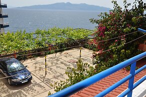 Hotel Vila Alvin & Apartments