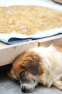 Yangshuo Zen Garden Resort - Yulong River