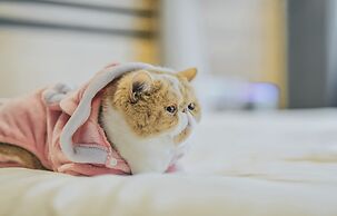 Yangshuo Zen Garden Resort - Yulong River