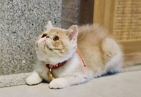 Yangshuo Zen Garden Resort - Yulong River