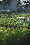 Yangshuo Zen Garden Resort - Yulong River