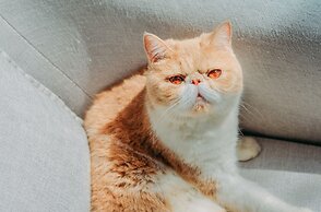 Yangshuo Zen Garden Resort - Yulong River