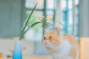 Yangshuo Zen Garden Resort - Yulong River