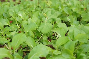 Lijiang Shuhe Youyiju Private Club