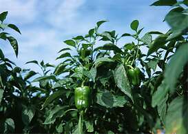 Lijiang Shuhe Youyiju Private Club