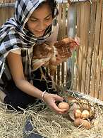 Koh Jum Ocean Beach Resort