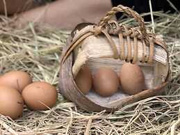 Koh Jum Ocean Beach Resort