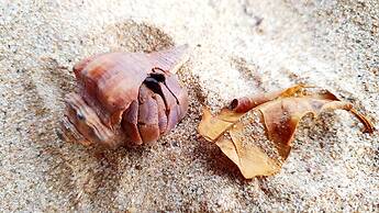 Koh Jum Ocean Beach Resort