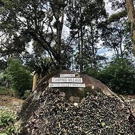 Sahom Valley Resort - Agro & Eco