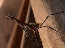 Estancia Ecologica LOS FUNDADORES