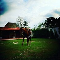 Estancia Ecologica LOS FUNDADORES