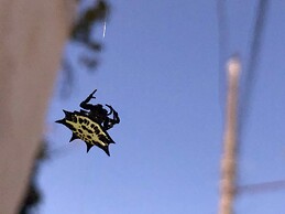 Estancia Ecologica LOS FUNDADORES