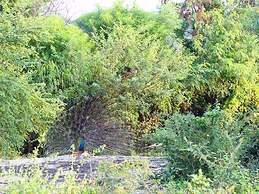 Best Life Eco Resort Mattala