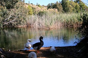 Naiades Almiros River Hotel