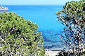 Babai Village - Abba Urci