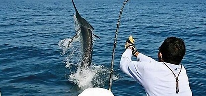 PANAMA BIG GAME CLUB