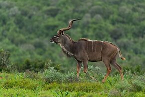 Founders Lodge by Mantis