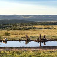 Founders Lodge by Mantis