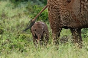 Founders Lodge by Mantis