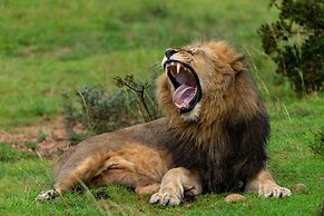 Founders Lodge by Mantis