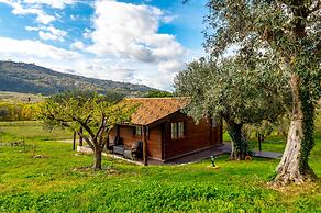 Quinta do Quinto - Turismo de Habitação