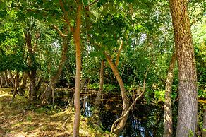 Quinta do Quinto - Turismo de Habitação