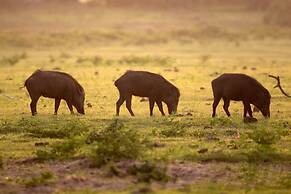 yala caravan village