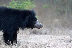 yala caravan village