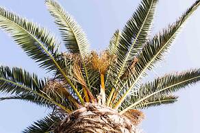 Paradise Beach Hotel