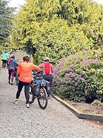 Cabañas Pewma Futrono