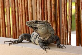 Aquastar Hotel & Apartments