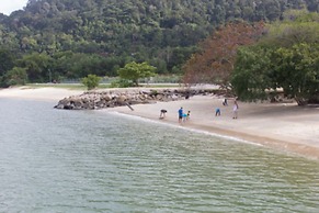 Casuarina@Pangkor