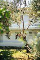 Palm Beach Otel