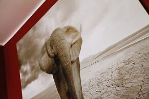 Oasi Verde a San Pietro