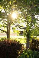 Yale Manor B&B and Yurt Glamping