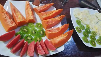 Pousada Tropical Araçatiba