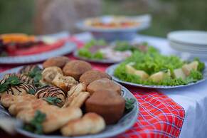 Elewana Tarangire Treetops