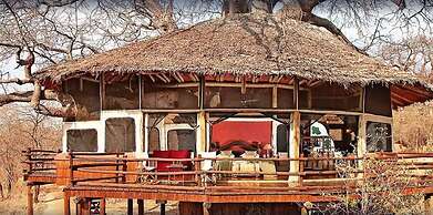 Elewana Tarangire Treetops