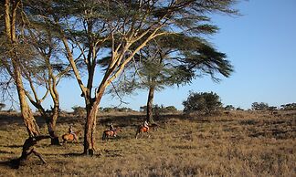 Elewana Lewa Safari Camp