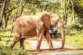Elewana Lewa Safari Camp