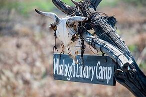 Mbalageti Serengeti