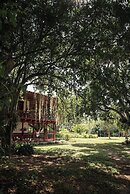 Finca Cafetera El Balso