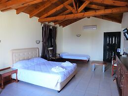 Diogenis Blue Palace